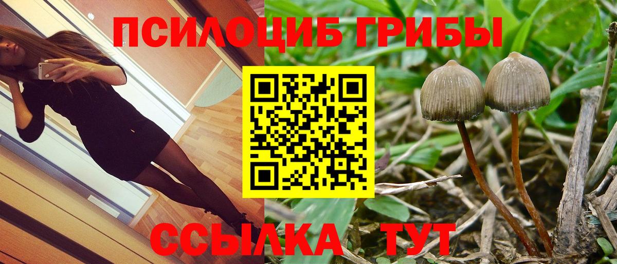 Галлюциногенные грибы Cubensis Клин