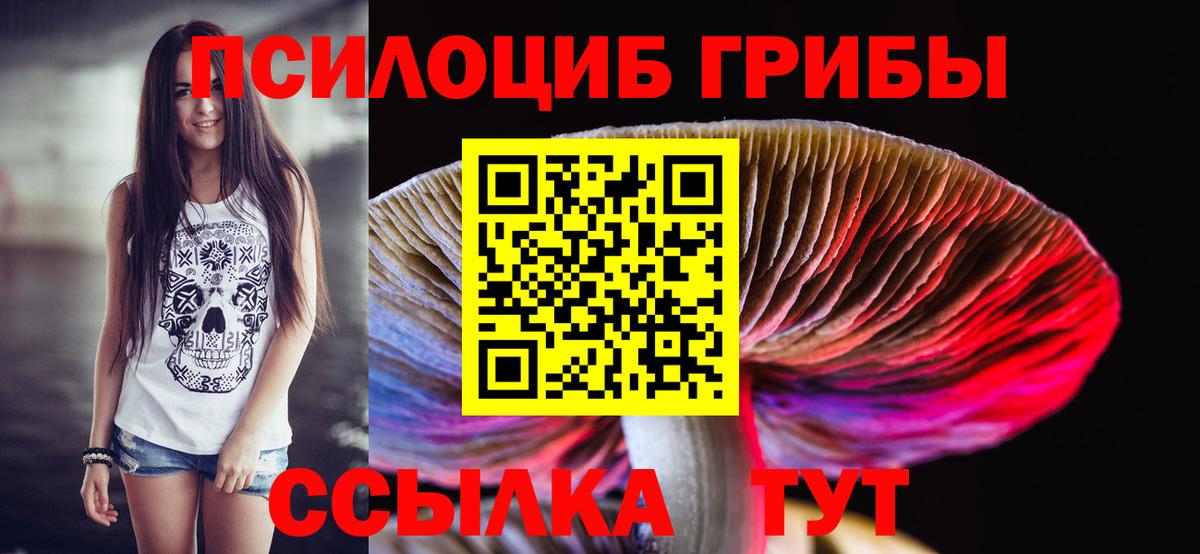 Клин  Галлюциногенные грибы мицелий  Вход с VPN 